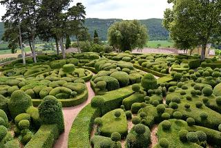 A topiary garden with various rounded and bulb-shaped hedges divided by gravel pathways