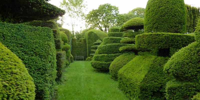 Topiary labyrinth with grassy corridor between geometrical hedges